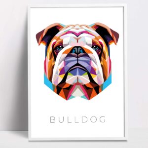 Bull Dog