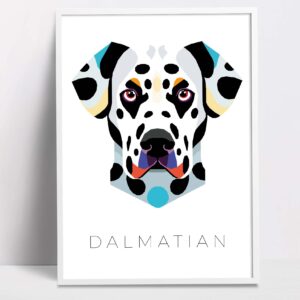 Dalmation